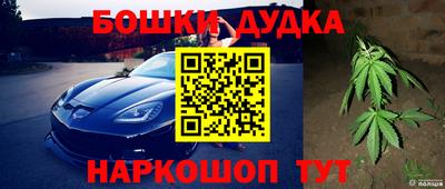 прущие крисы Нарткала