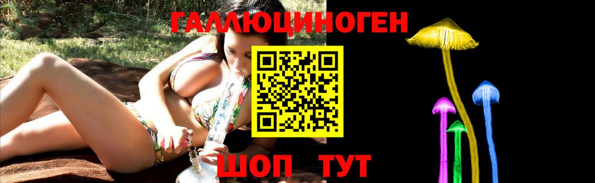 Шарыпово  Псилоцибиновые грибы Psilocybe  Вход с VPN 
